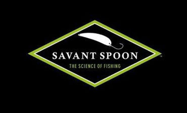 Picture for category Savant Spoon