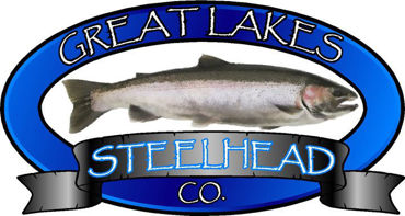 Picture for category Great Lakes Steelhead Co