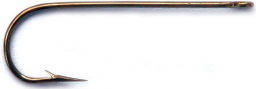 2395392.jpg
