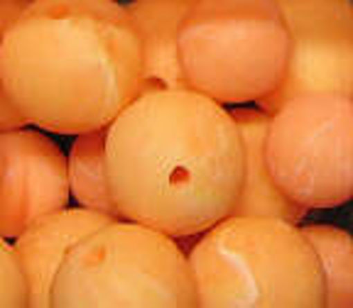 2720012.jpg