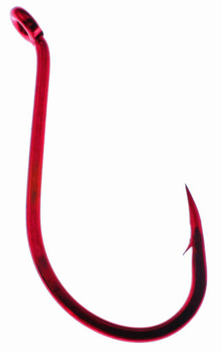 2765030.jpg