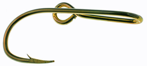 3145047.jpg