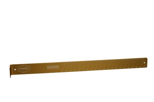3380402.jpg