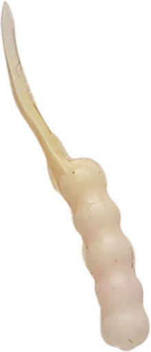 3756035.jpg