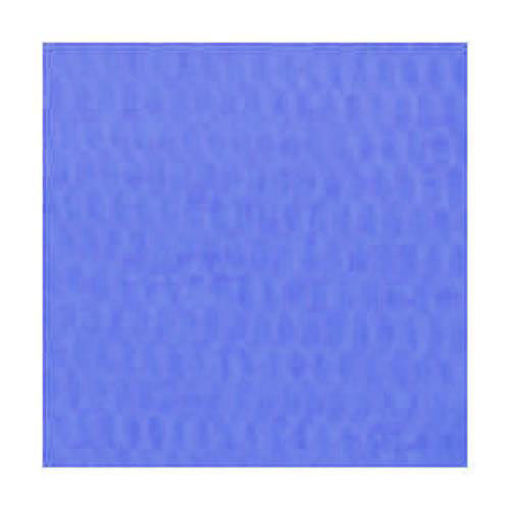 5890913.jpg