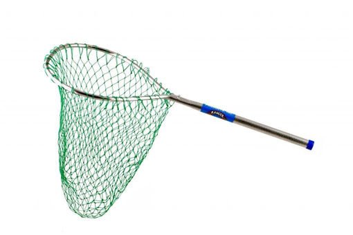 7180402.jpg