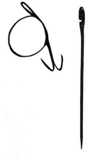 7665005.jpg