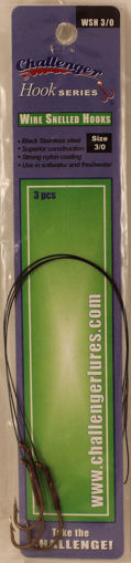 7665014.jpg