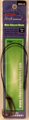 7665015.jpg