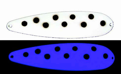 8316228.jpg