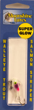 8316271.jpg