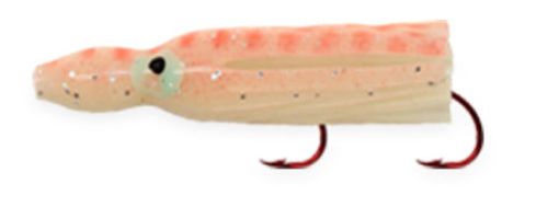 8896077.jpg