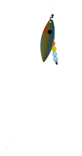 9256221.jpg
