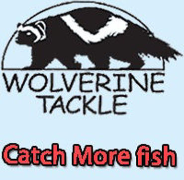 Picture for category Wolverine