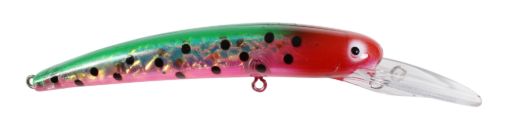 LD Hot Watermelon.jpg