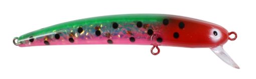 LS Hot Watermelon.jpg