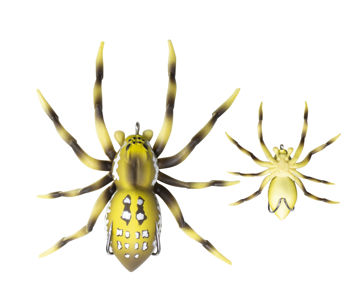 spider01.jpg