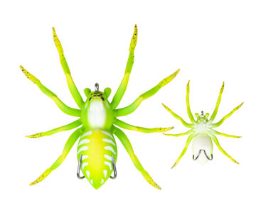 spider031.jpg
