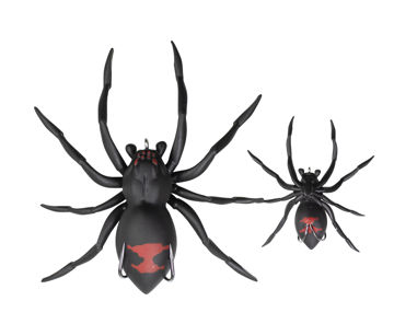 spider05.jpg