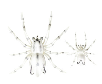 spider06.jpg