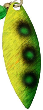 9256939.jpg