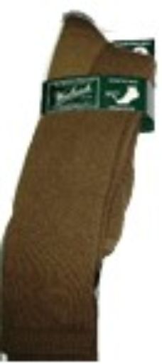 9990407.jpg