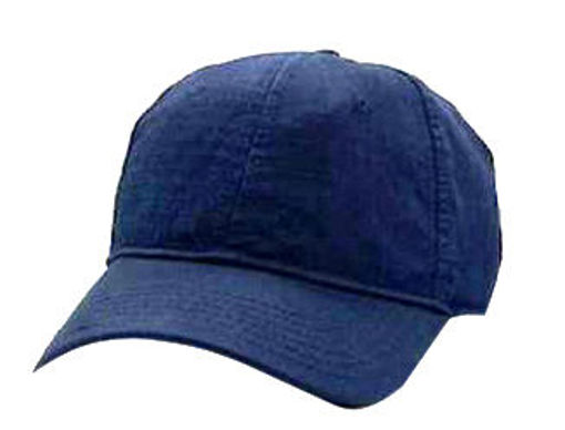 Blue Cap.jpg