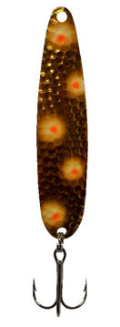 6526428.jpg