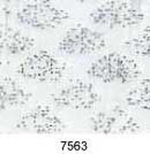 0554076.jpg