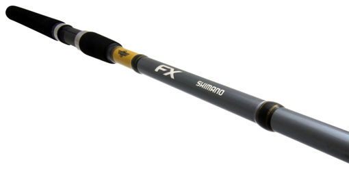 2811296.jpg