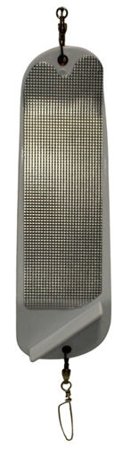 6526554.jpg