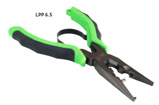 7084081.jpg