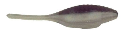 4716001.jpg