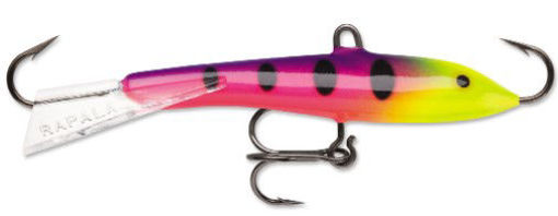 2427538.jpg