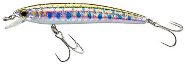 Picture for category Pin's Minnow