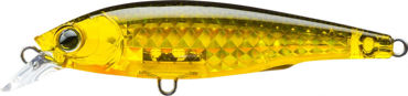 Picture for category 3DR-X Jerkbait