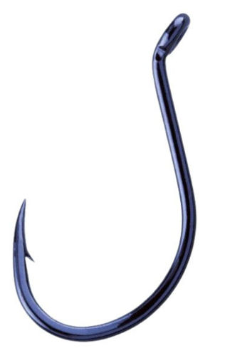 2515006.jpg