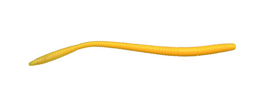 5890943.jpg