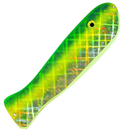 8166087.jpg