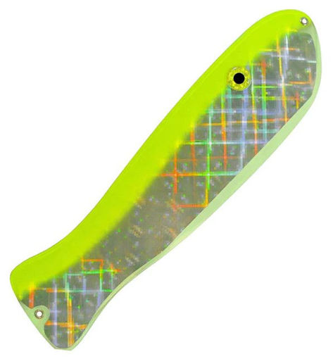 8166088.jpg