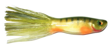 Picture for category Hybrid Musky Tubes