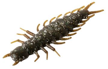 2326095.jpg