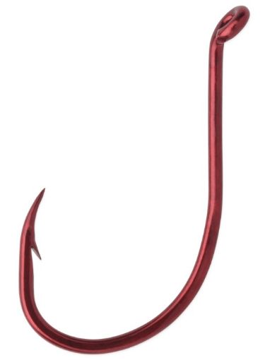 3175038.jpg