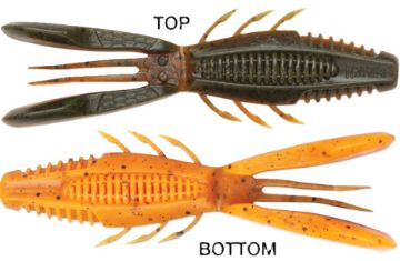 Picture of CrushCity Bronco Bug 4  Bama Craw  4inch 6/pk CCBRB4BCR CP=4