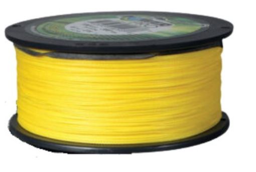 89230391.jpg
