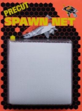 5896021.jpg