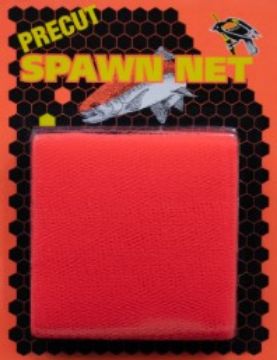 5896028.jpg