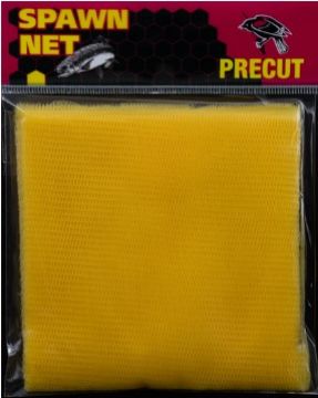 5896032.jpg