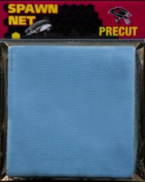 5896019.jpg