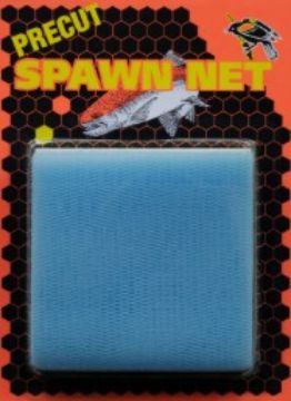 5896034.jpg